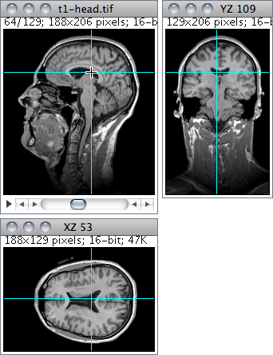 figure images/OrthogonalViews.png