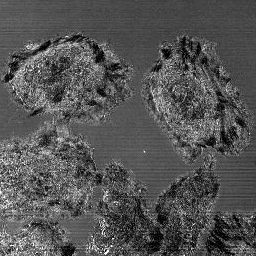 Original Image