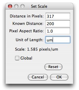 [set scale dialog]