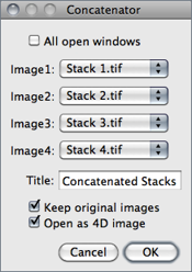 figure images/Concatenate.png
