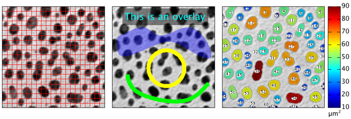 figure images/OverlayExamples.png