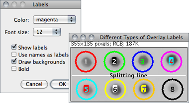 figure images/OverlayLabels.png