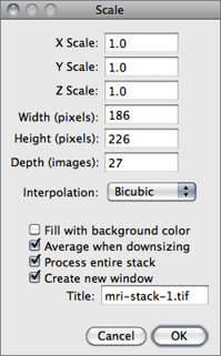 figure images/Scale.png