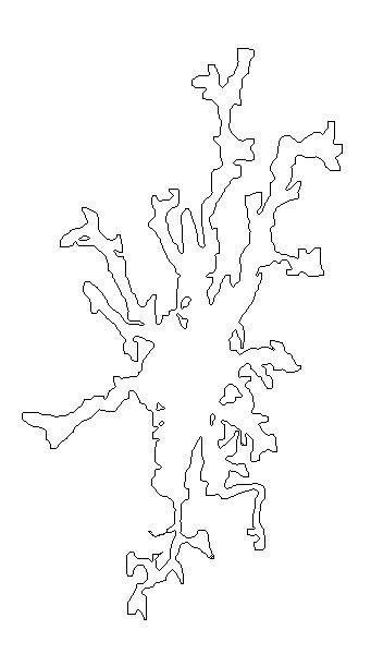 [glia]