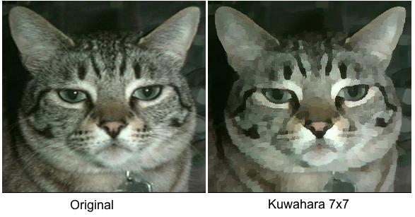 kuwahara.jpg