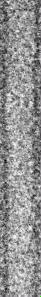 [pili-str]