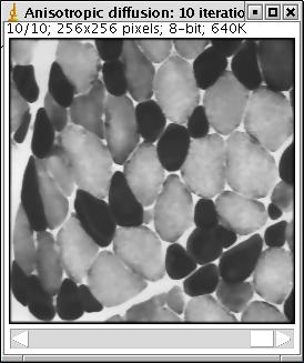 result_diffusion