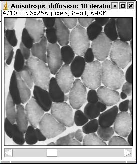 result_diffusion4