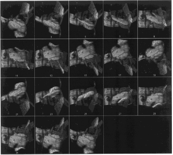 fig-25